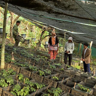 <a href="/tin-tuc-su-kien/thong-tin-kinh-te2" title="Thông tin Kinh tế" rel="dofollow">Thông tin Kinh tế</a>