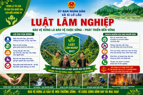 TUYÊN TRUYỀN LUẬT LÂM NGHIỆP