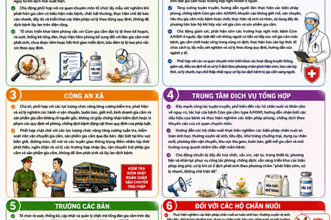 Ủy ban nhân dân xã Sì Lở Lầu, Thực hiện Công văn số 6415/UBND-KTN ngày 28/7/2026 của UBND tỉnh Lai Châu về việc khẩn trương triển khai các biện pháp khống chế bệnh Cúm gia cầm type A/H5N1.